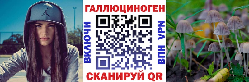 Галлюциногенные грибы Psilocybine cubensis  Волчанск 